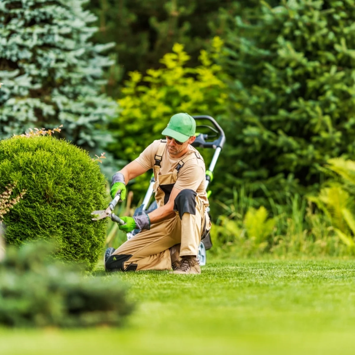 Reuni Vert Paysagiste Chinon Jardinier